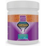 Cartilan BASE K2+D3 Mega 300 tbl – Hledejceny.cz