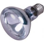 Trixie Neodymium Basking Spot Lamp 50 W – Zboží Mobilmania