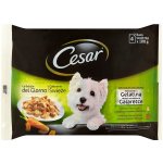 Cesar Selection v želé 4 x 100 g – Zboží Mobilmania