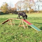 Trixie Agility lávka 456 x 64 x 30 cm do 80kg – Hledejceny.cz