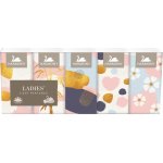 Harmony Ladies papírové kapesníčky 3-vrstvé 10 x 10 ks – Zboží Dáma Harmony Ladies papírové kapesníčky 3-vrstvé 10 x 10 ks – Zboží Dáma