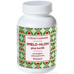 Naturvita Jmelí Hloh plus Hořčík 60 kapslí – Hledejceny.cz