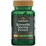 Swanson 5-Loxin Boswellia Serrata Extract 60 kapslí – Hledejceny.cz