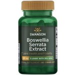 Swanson 5-Loxin Boswellia Serrata Extract 60 kapslí – Zbozi.Blesk.cz