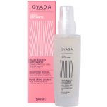 Gyada Smoothing Dry Oil Ultra lehký olej pro lesk a hebkost vlasů 50 ml – Hledejceny.cz