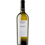 Serena Sauvignon Blanc Veneto IGT 2023 12% 0,75 l (holá láhev) – Hledejceny.cz