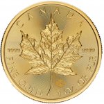Royal Canadian Mint zlatá mince Maple Leaf 2025 1 oz – Zboží Dáma