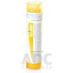 APIS MELLIFICA POR 15CH GRA 1X4G – Sleviste.cz