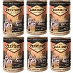 Carnilove Wild Meat Salmon & Turkey Puppies 6 x 400 g – Zbozi.Blesk.cz