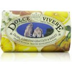Nesti Dante Dolce Vivere mýdlo Capri 250 g – Zbozi.Blesk.cz
