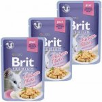 Brit Premium Cat Delicate Fillets in Jelly Chicken 85 g – Sleviste.cz