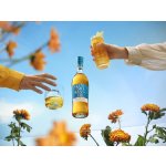 Glenmorangie Triple Cask Reserve 40% 0,7 l (karton) – Zboží Dáma