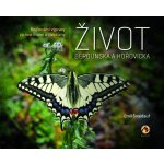 Život Berounska a Hořovicka - Regionální výpravy za rostlinami a živočichy - Šnaidauf Emil – Hledejceny.cz