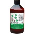 Dromy BOSWELLIA Serrata liq. 1000 ml