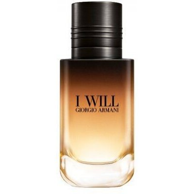 Giorgio Armani I Will parfémovaná voda pánská 30 ml – Hledejceny.cz