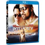 Pot a krev BD – Sleviste.cz