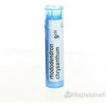RHODODENDRON CHRYSANTHUM POR 9CH GRA 1X4G – Hledejceny.cz