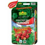 Agro CS Floria Substrát pro jahody 40 l – Zboží Dáma