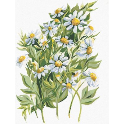 Zuty Malování podle čísel KOPRETINY ALEXANDRIA GILBERT – Hledejceny.cz