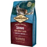 Carnilove Salmon for Adult Cats Sensitive & Long Hair 2 kg – Zboží Mobilmania