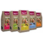 Pavo Healthy Treats Lněné semínko 1 kg – Hledejceny.cz