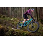 Fulcrum RED ZONE CARBON – Zboží Mobilmania