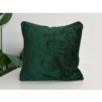 Xpose Mikroplyš tmavě zelený 40 x 40 cm – Zboží Dáma Xpose Mikroplyš tmavě zelený 40 x 40 cm – Zboží Dáma