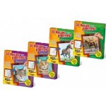 MIRAGE HOBBY Kreativní sada 3D malování Relief Painting: Mainská mývalí kočka – Sleviste.cz