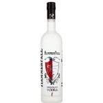 HammerFall Premium Vodka 40% 0,7 l (holá láhev) – Hledejceny.cz