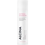 Alcina Color & Blond regenerační šampon pro barvené vlasy 250 ml – Zboží Mobilmania