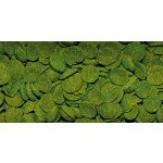 Dajana Spirulina wafers 1 kg – Sleviste.cz