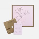 Přání se semínky Nevěstin závoj – Hledejceny.cz