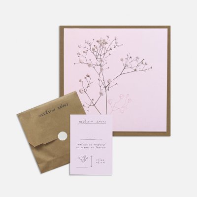 Přání se semínky Nevěstin závoj – Hledejceny.cz