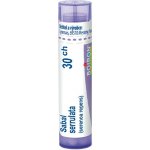 SABAL SERRULATA POR 30CH GRA 4G – Hledejceny.cz