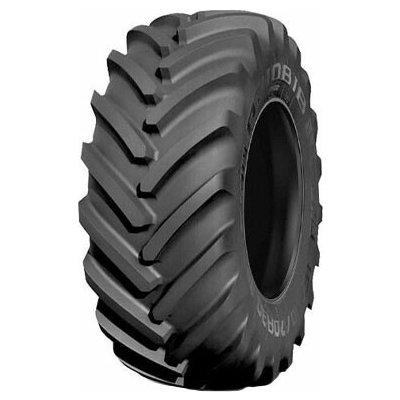Michelin Axiobib 2 800/70-38 184E TL | Zboží Auto