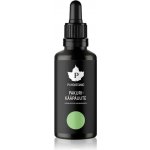 Pakurikääpäuute Puhdistamo Chaga Extract 50 ml – Hledejceny.cz