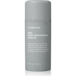 Ayunche Pro Deep Repairing Cream hloubkově regenerační krém pro poškozené vlasy 100 ml – Hledejceny.cz