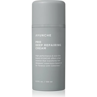 Ayunche Pro Deep Repairing Cream hloubkově regenerační krém pro poškozené vlasy 100 ml – Hledejceny.cz