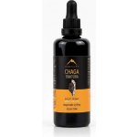 Hrotlife Chaga tinktura 100 ml – Hledejceny.cz