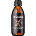 BrainMax Liposomal Vital Mushrooms vitální houby v liposomální formě 200 ml – Hledejceny.cz