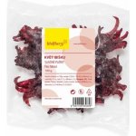 Wolfberry Květ ibišku kandovaný 100 g – Zbozi.Blesk.cz