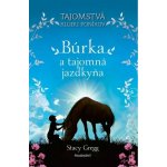 Búrka a tajomná jazdkyňa – Hledejceny.cz