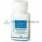 Green World Chitosan 60 kapslí – Hledejceny.cz