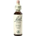 Bachovy květové esence Cesmína ostrolistá Holly 20 ml – Hledejceny.cz