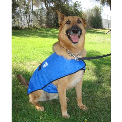 HyperKewl Dog Vest chladící vesta pro psy – Zboží Mobilmania