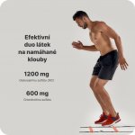 Vilgain Joint Support papája 360 g – Hledejceny.cz