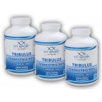FitSport Nutrition Tribulus Terrestris 90% + Vitamin B6 + Zinc 720 kapslí – Hledejceny.cz