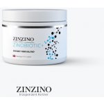 Zinzino Zinobiotic+ Přírodní dietní směs s vlákninou 180 g – Hledejceny.cz