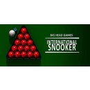 Hra na PC International Snooker