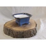 Yixing keramická miska Červená 14 x 14 x 7 cm – Hledejceny.cz